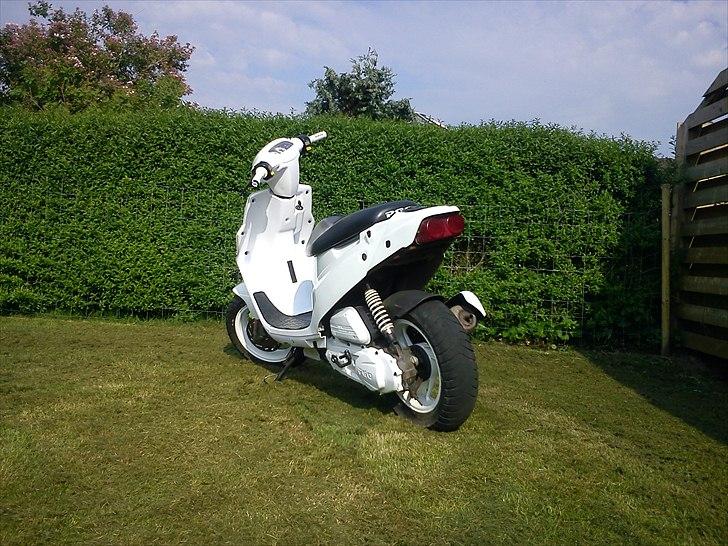 PGO Hot 50 billede 3