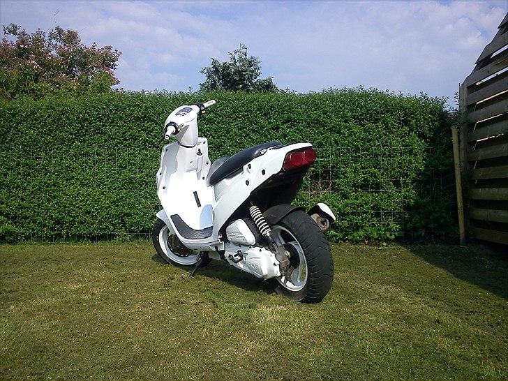 PGO Hot 50 billede 2