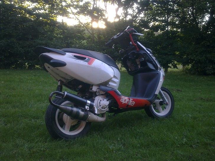 Aprilia Sonic - | | RRT | |  billede 12