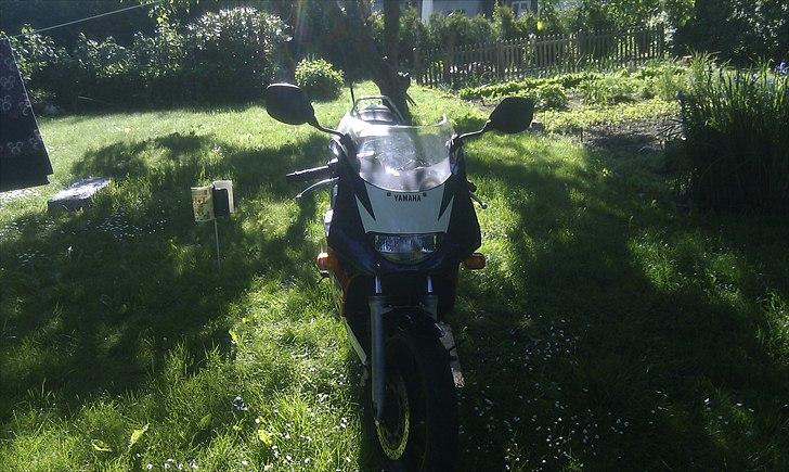 Yamaha TZR 50 LC DD billede 11