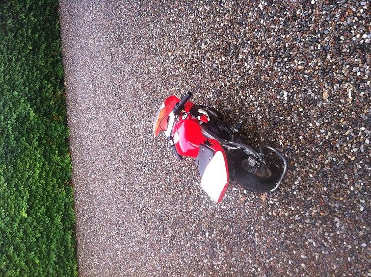 MiniBike Rødhætte/Snehvide billede 5