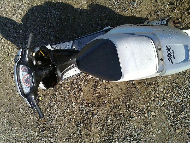 Honda SFX billede 5