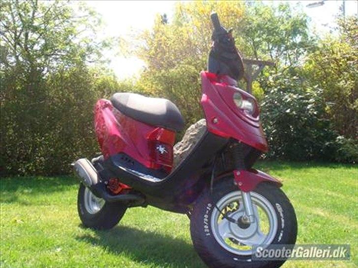 PGO Hot 50 (SOLGT) - FØR FØR FØR her startede renoveringen billede 12