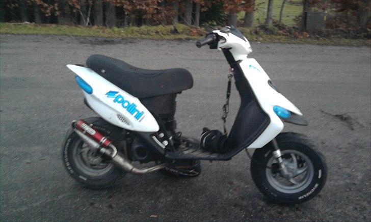 Gilera stalker: (før) billede 3