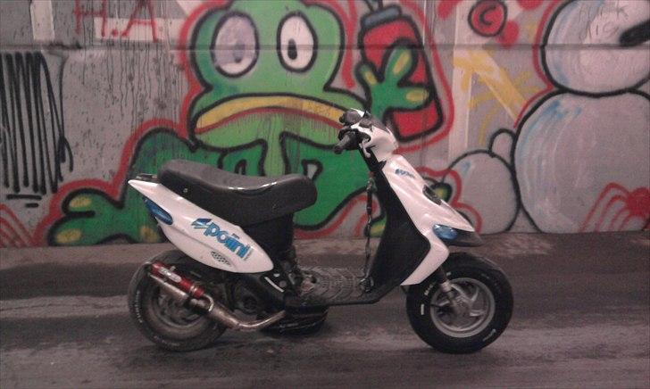 Gilera stalker: (før) billede 6