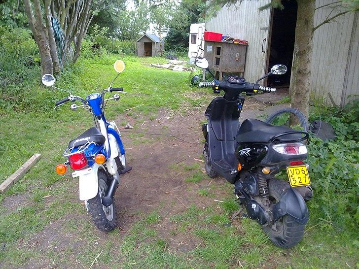 Peugeot tkr 50 billede 7