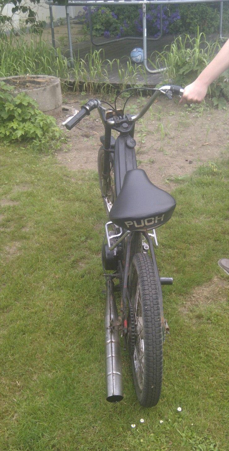 Puch Maxi P (Projekt) billede 5