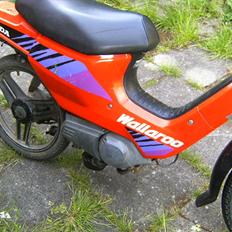 Honda Wallaroo [BYTTET]