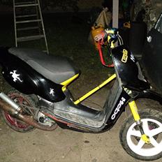 Aprilia Rally LC (BYTTET)