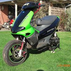 Gilera Runner DD LC