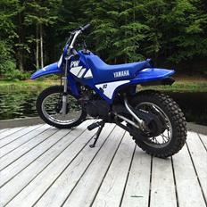 Yamaha PW 80
