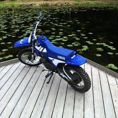 Yamaha PW 80