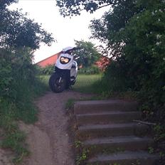 PGO Hot 50 "Trunten"