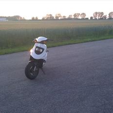 PGO Hot 50 "Trunten"