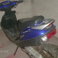 Adly Arriva(hverdags svinet)