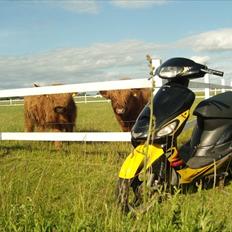 Giantco Sprint 4 takter