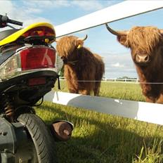 Giantco Sprint 4 takter