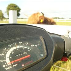 Giantco Sprint 4 takter