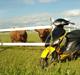 Giantco Sprint 4 takter