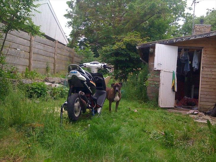 Aprilia sonic lc Evo splittet:) billede 5