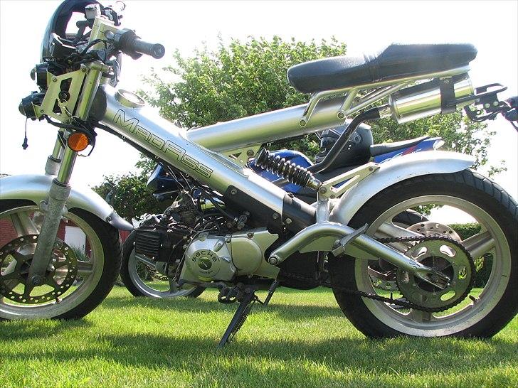 Sachs Madass billede 1