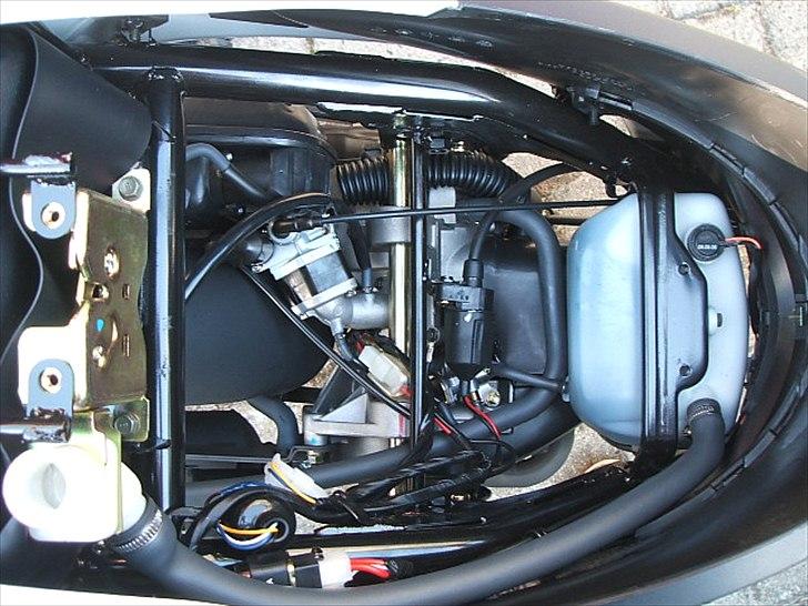 PGO New Ligero billede 13