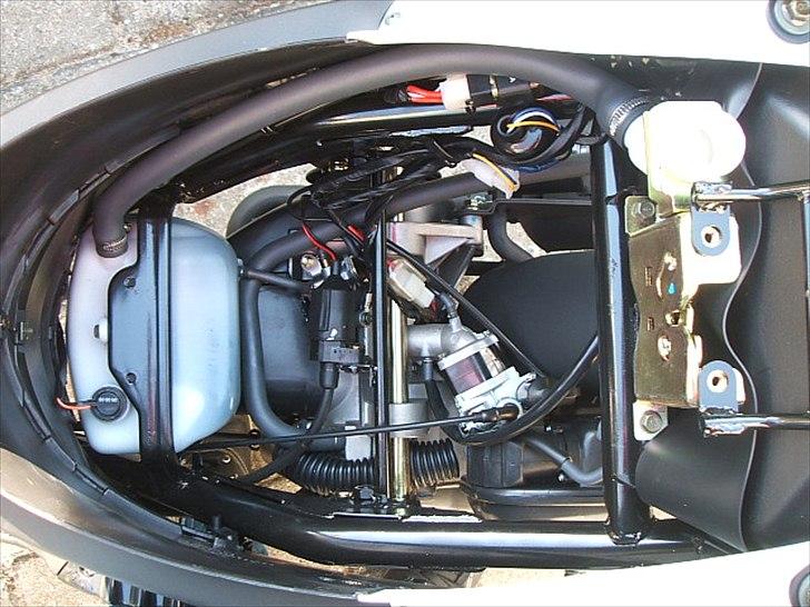 PGO New Ligero billede 17