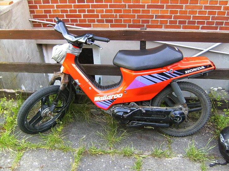 Honda Wallaroo [BYTTET] billede 1