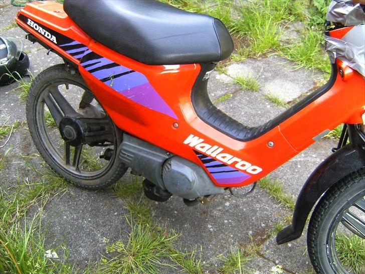 Honda Wallaroo [BYTTET] billede 2