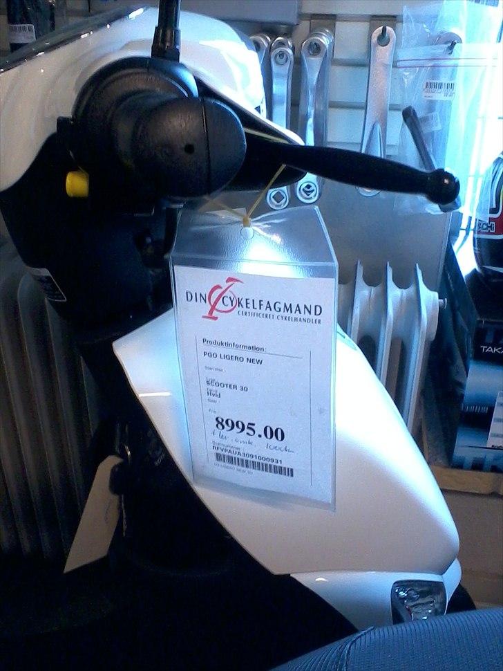 PGO New Ligero billede 19