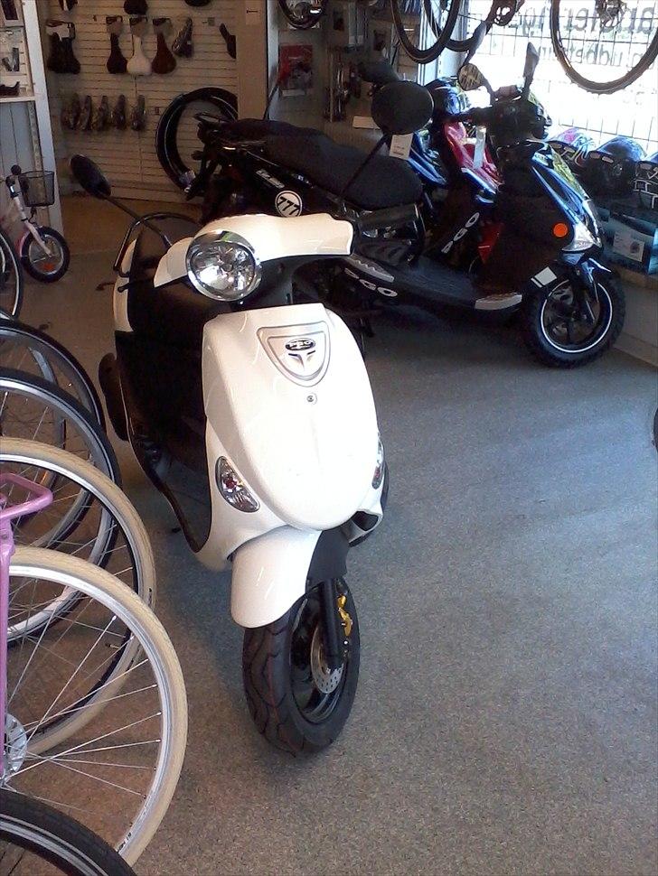 PGO New Ligero billede 20