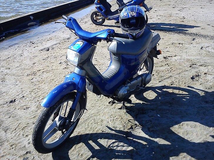 Honda wallaroo billede 3