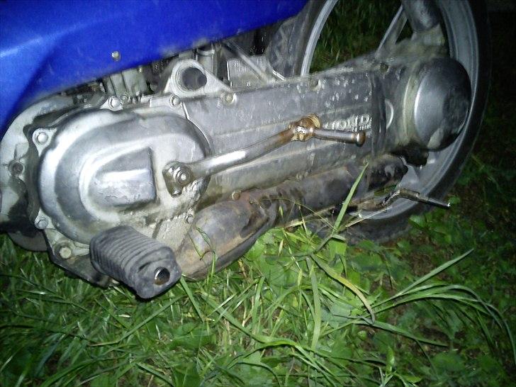 Honda wallaroo billede 4