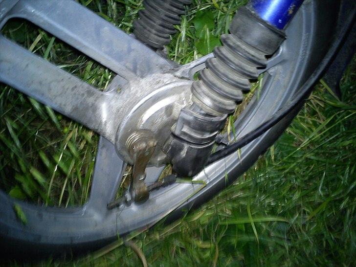 Honda wallaroo billede 5