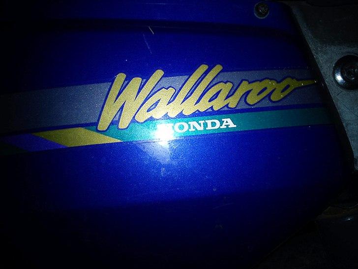 Honda wallaroo billede 6