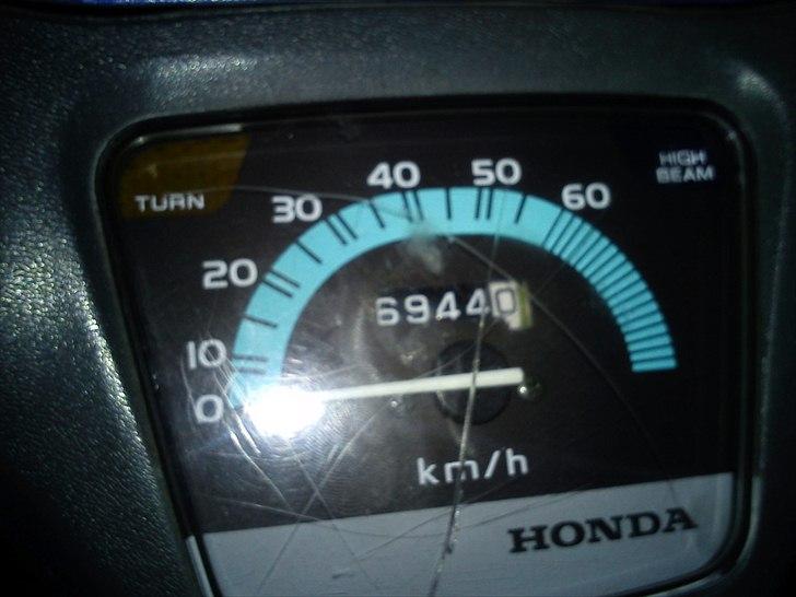 Honda wallaroo billede 9