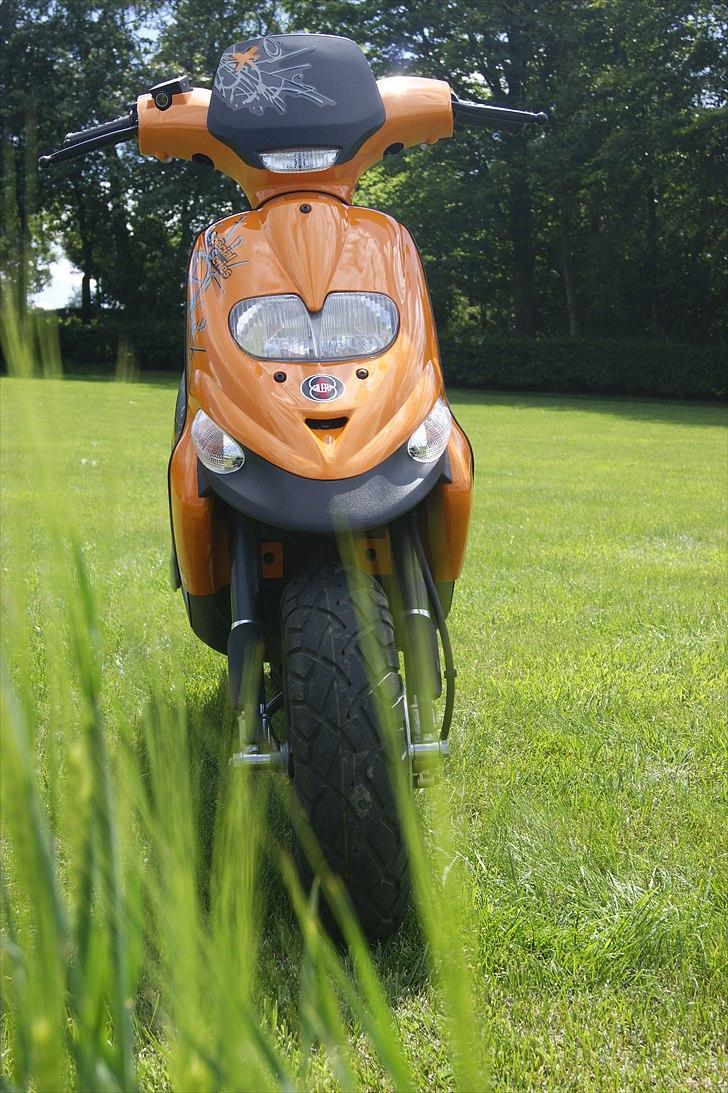 Gilera Stalker billede 6