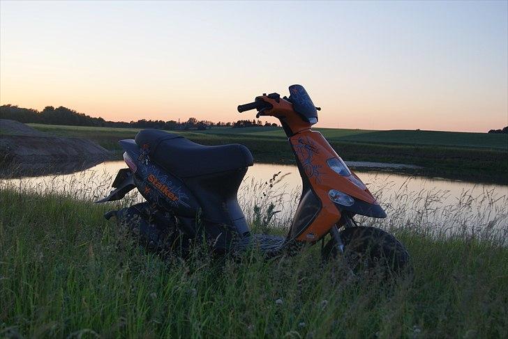 Gilera Stalker billede 15