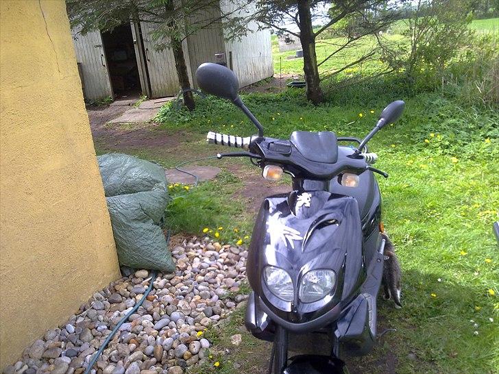 Peugeot tkr 50 billede 12