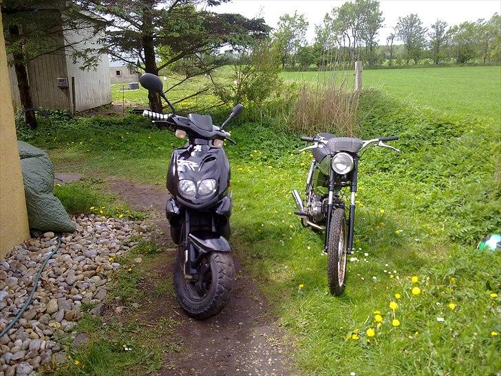 Peugeot tkr 50 - min tkr sammen med min gamle monza billede 13