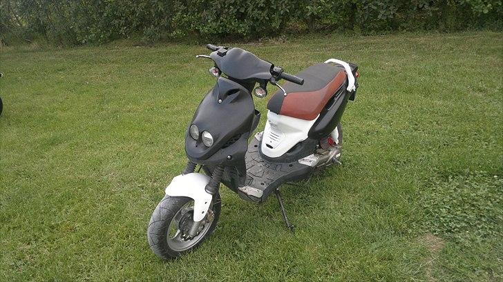 PGO PMX sport billede 2
