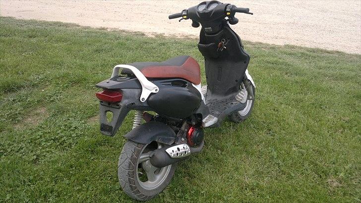 PGO PMX sport billede 3
