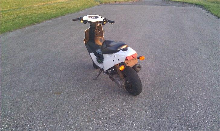 PGO Hot 50 "Trunten" billede 5