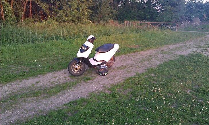 PGO Hot 50 "Trunten" billede 12