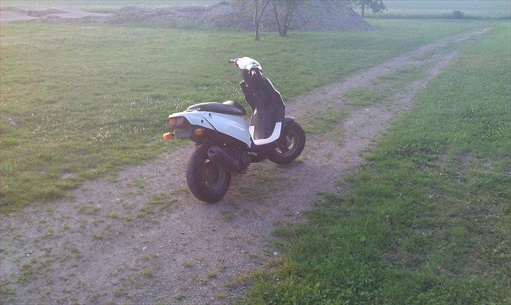 PGO Hot 50 "Trunten" billede 14