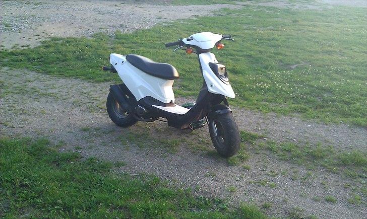 PGO Hot 50 "Trunten" billede 15