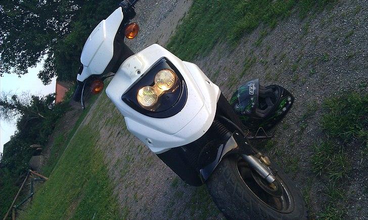 PGO Hot 50 "Trunten" billede 16