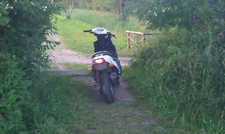 PGO Hot 50 "Trunten" billede 17