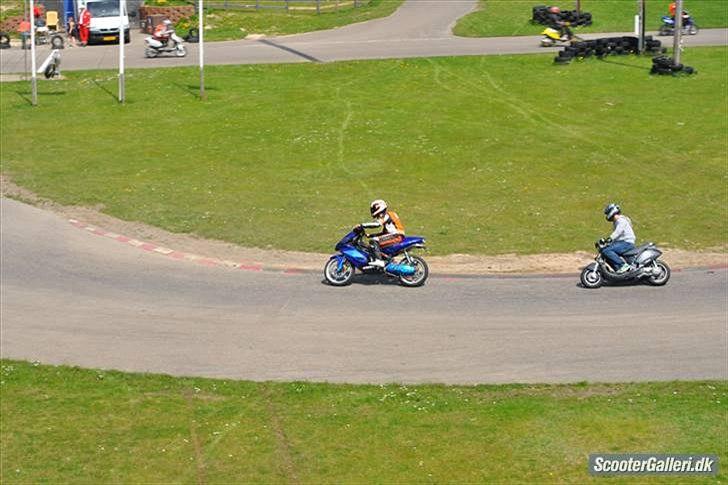 CPI GTR Pata Negra ((bygget om)) billede 4