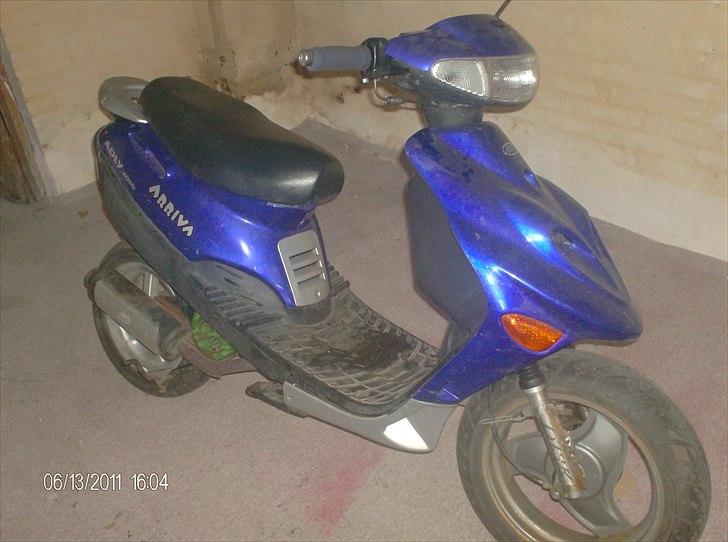 Adly Arriva(hverdags svinet) billede 1